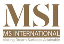 MSI International